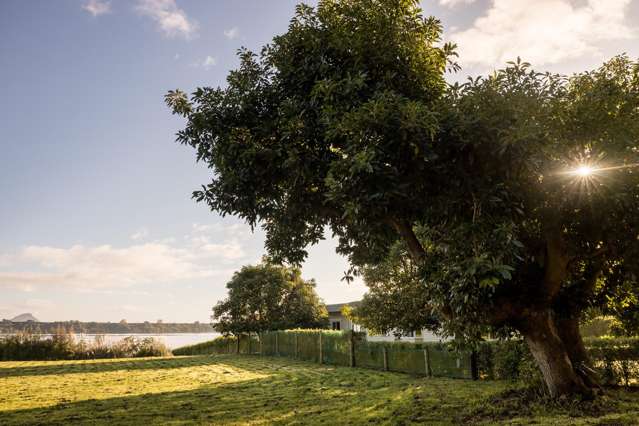 206 Ranginui Road Welcome Bay_2