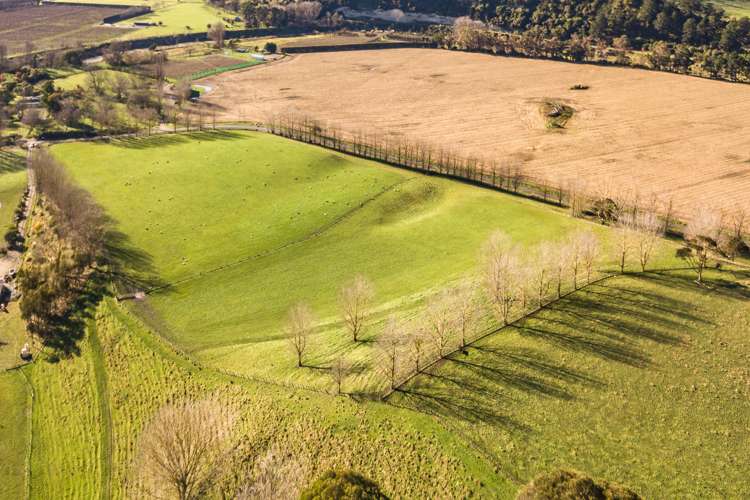 567 Mangamahu Road Mangamahu_6