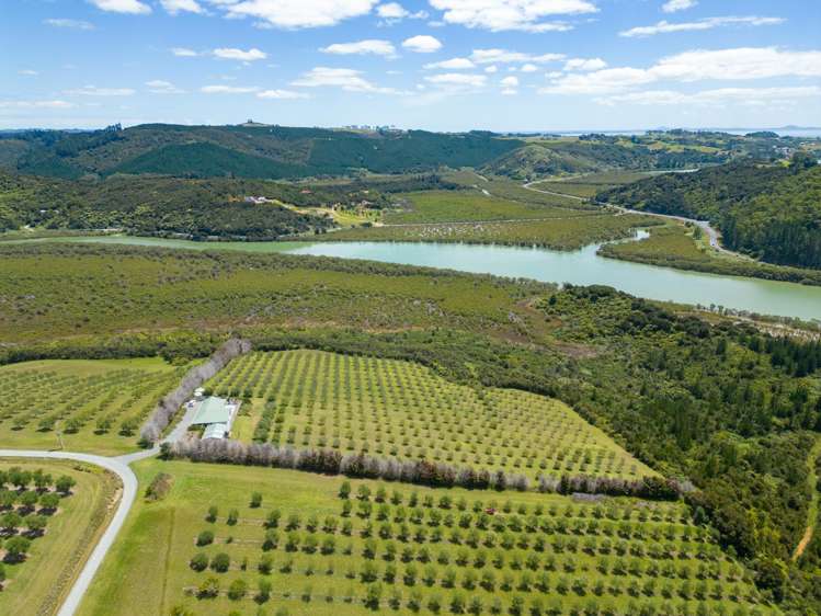 125A Frantoio Ridge Road Mangonui_35