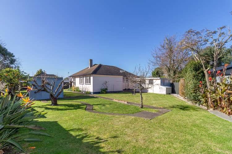 65 Hillary Crescent Maraenui_14