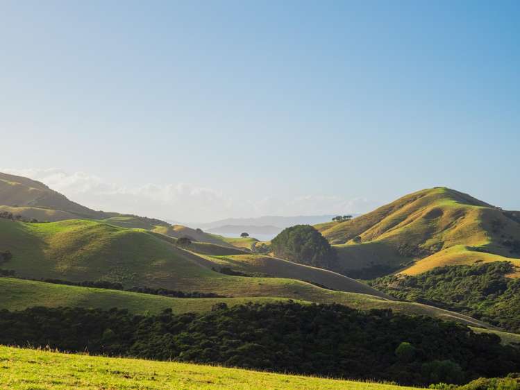 Address withheld Kerikeri_6