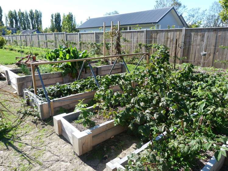 83 Reading Street Greytown_15