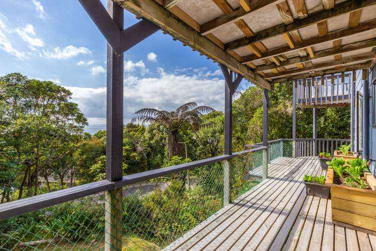 19 Kamahi Terrace Omori_21