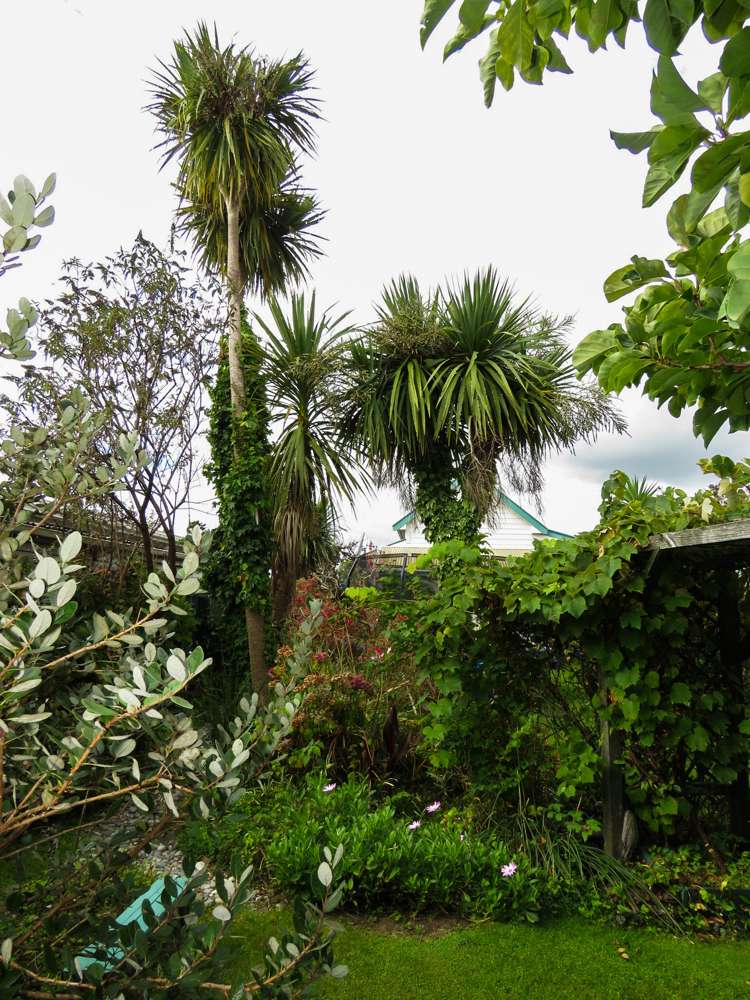 8 Watson Street Westport_24