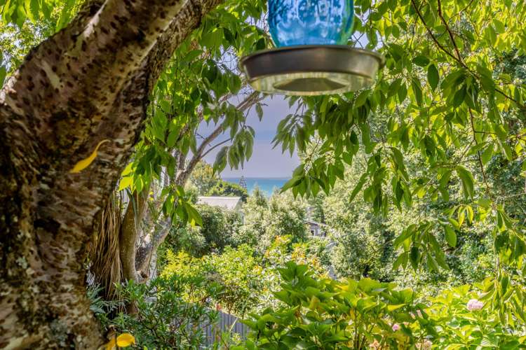 17 Roslyn Road Bluff Hill_23