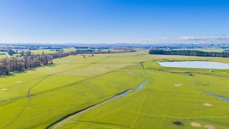3962 State Highway 2 Takapau_14