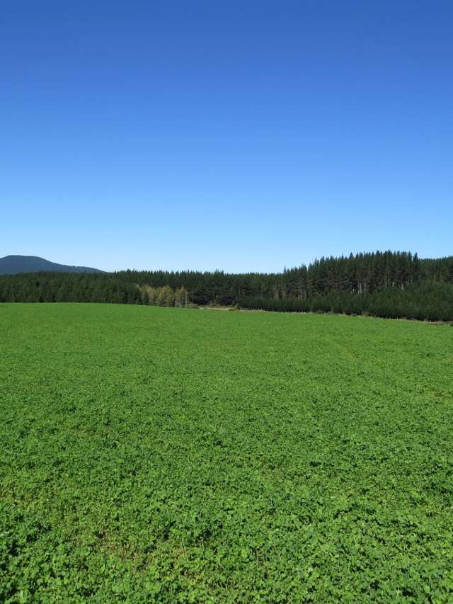 6261 State Highway 1 Kinleith_1