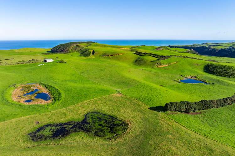 792 Omamari Road Dargaville Surrounds_9