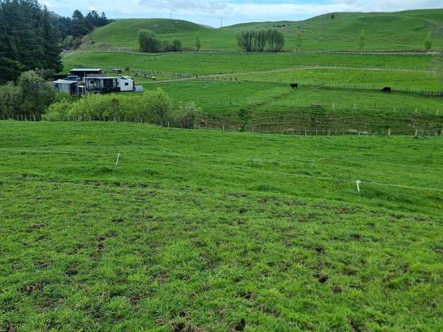 3345A Weber Road Dannevirke_2