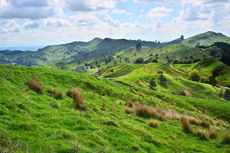 1678 Tiniroto Road Waerenga-O-Kuri_25