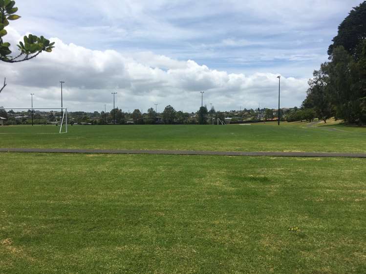 681b Hillsborough Road Mount Roskill_3