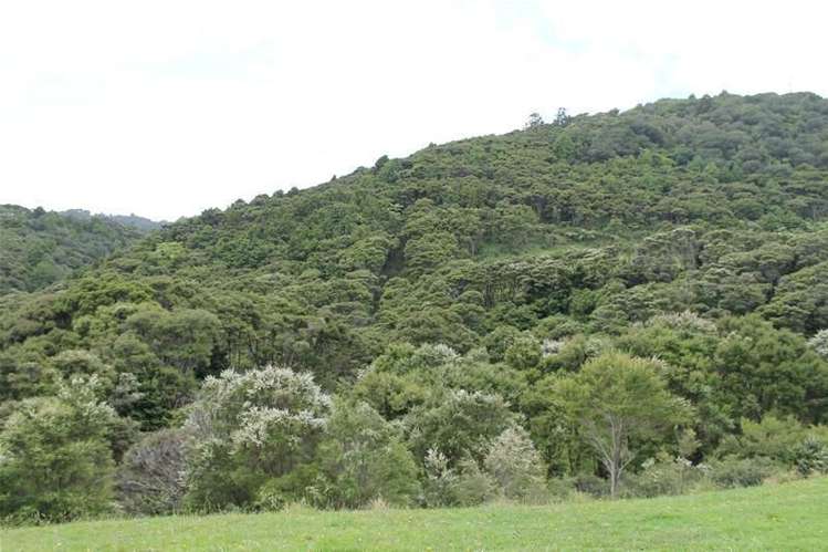 243c Mountain Road Maungaturoto_12