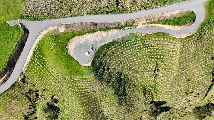 24 Sinclair Way Martinborough_5