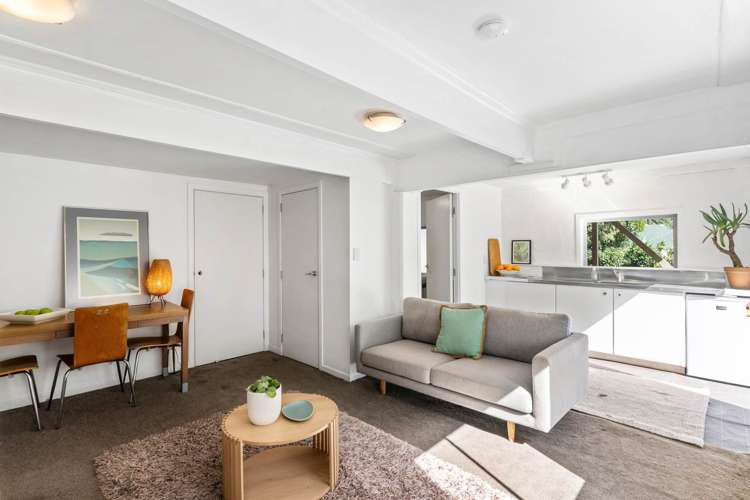 27 Castle Street Grey Lynn_17