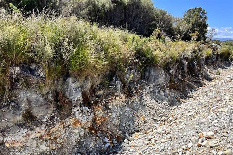 Keogans Road Arahura Valley_9