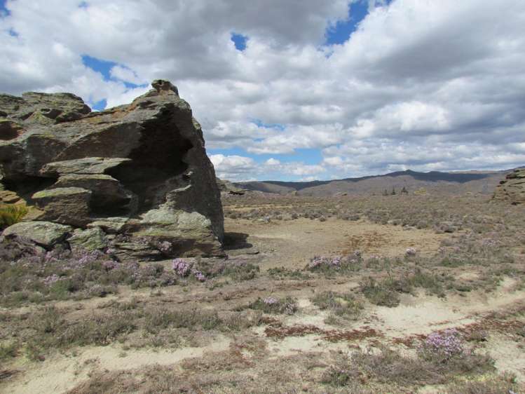 Tor Hill Road Conroys Gully_6