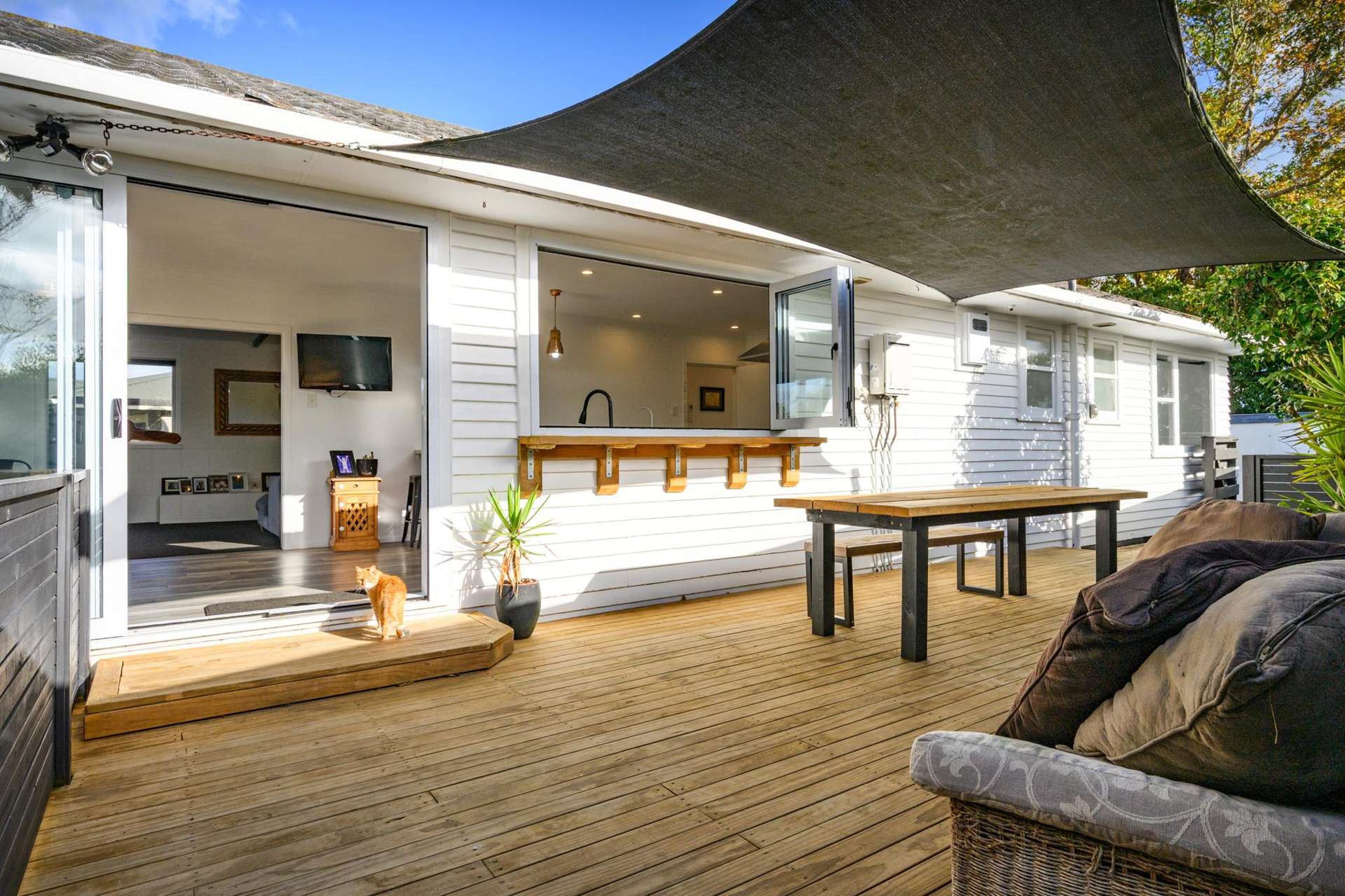 11 Juliana Place Awapuni_0