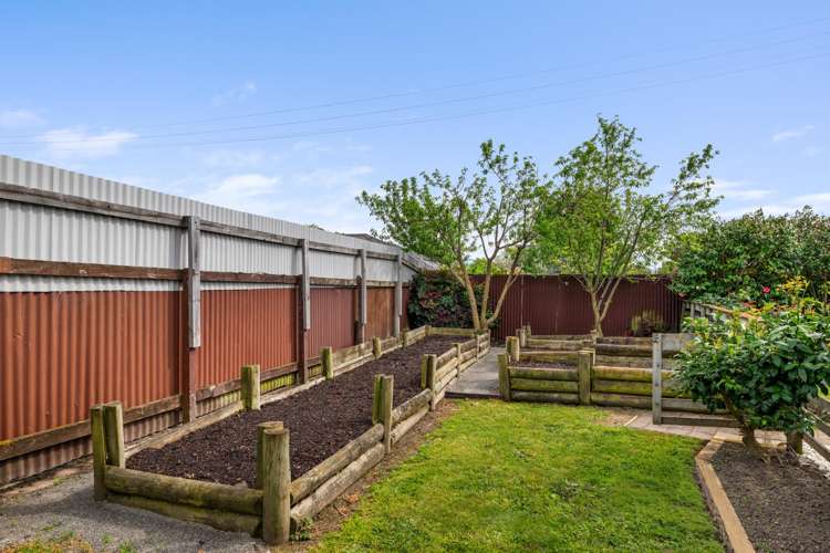 310a Scott Street Witherlea_28