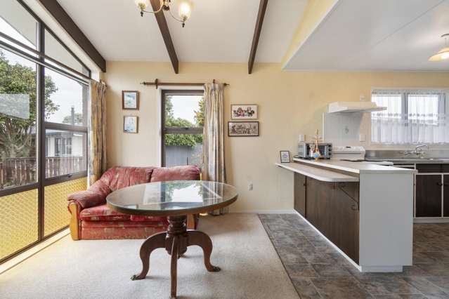 4 Higgin Place Feilding_3