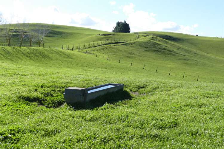 712 Matapiro Road Crownthorpe_20