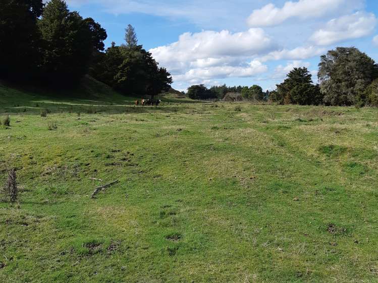Kururau Road Taumarunui_0