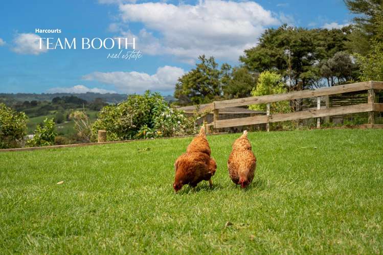 606 Blackbridge Road Waitoki_8