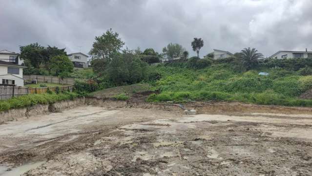 Lot 29/117 Opaheke Road Papakura_1