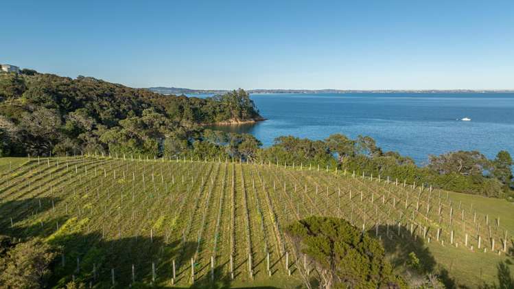 40 Rothschild Terrace Waiheke Island_15