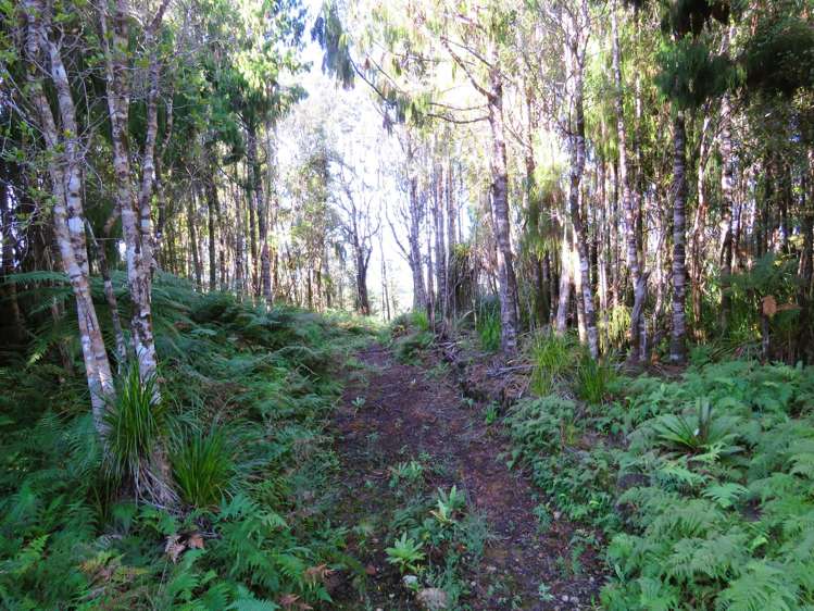 5/1290 Tanglefern Row Charleston_5