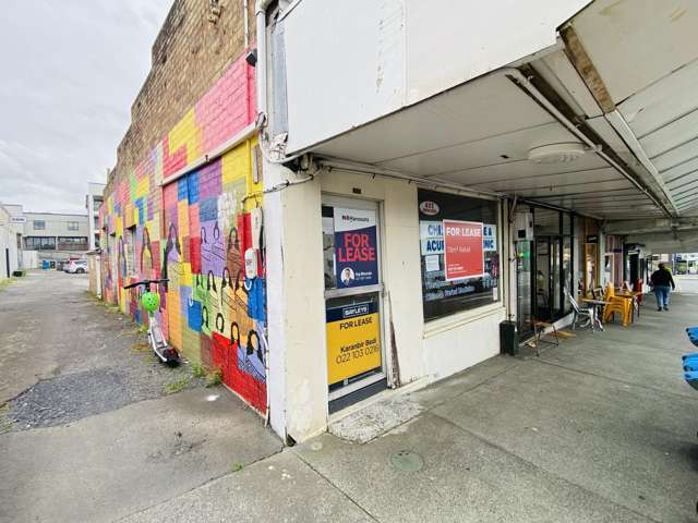 58 Rosebank Road Avondale_1