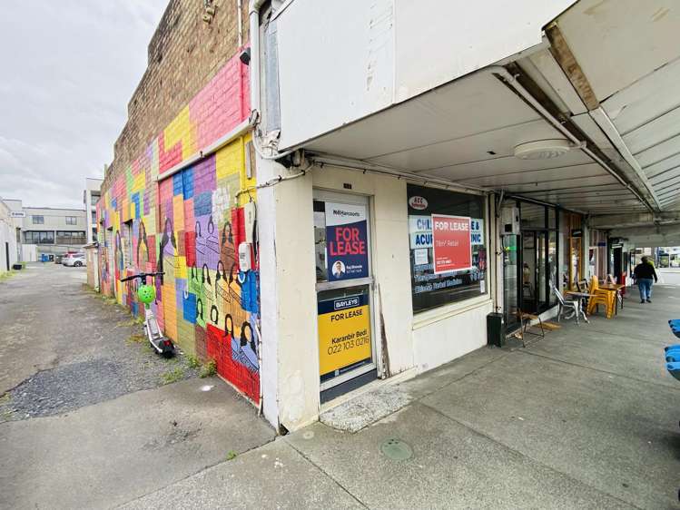 58 Rosebank Road Avondale_1