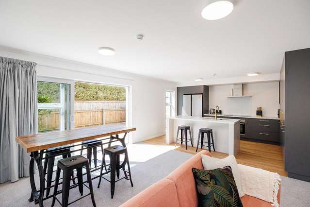 83a North Street Palmerston North_4
