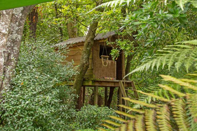 19 Liverpool Street Miramar_22