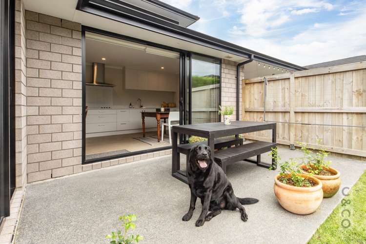 17 Pitoitoi Drive Riverhead_42