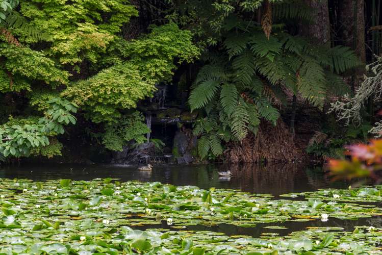 403 Hamurana Road Ngongotaha_16