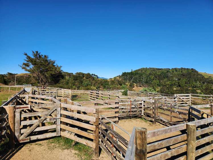 319 Ohautira Road Raglan_9