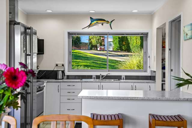 11 Springbank Lane Te Atatu Peninsula_2