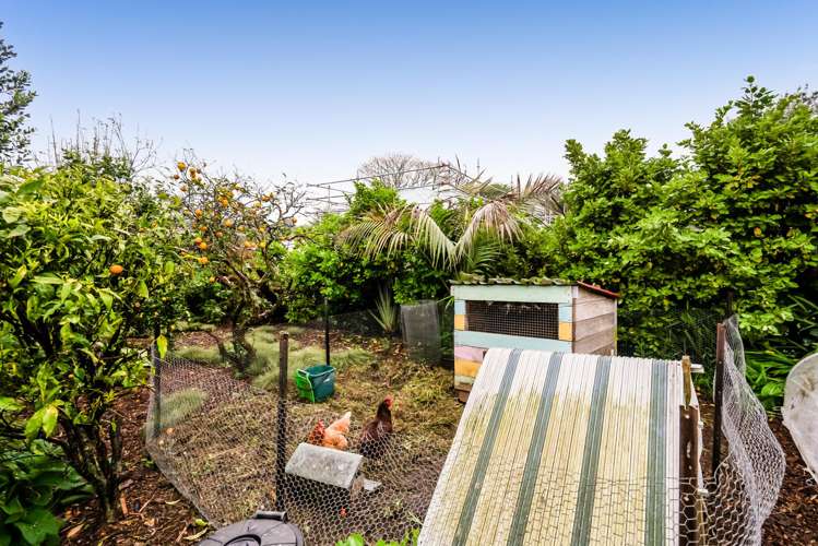 54 Waimea Street Westown_19