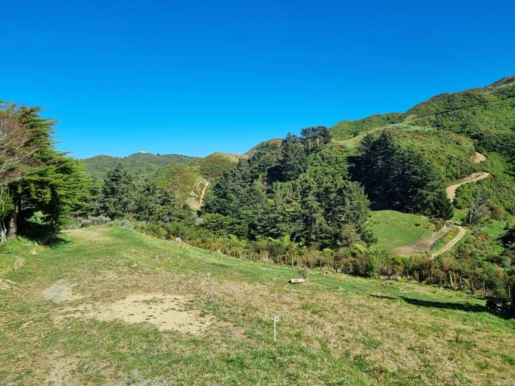 234 Stratton Street Normandale_6