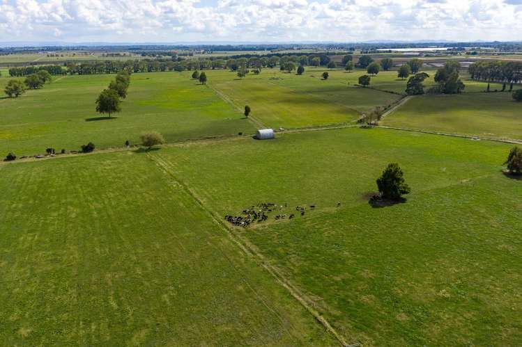 3331 Cambridge Road Cambridge_10