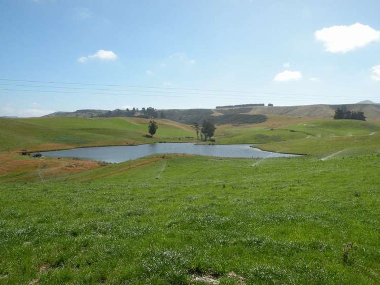 432 Flag Swamp Road Flag Swamp_17