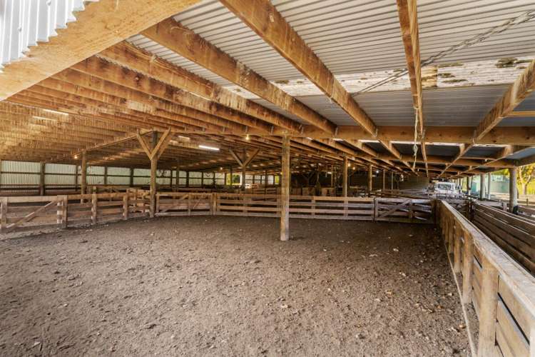 231 Leitch Road Piopio_20