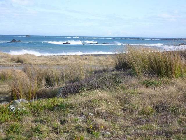 1 Mangatoetoe Grove Cape Palliser_2