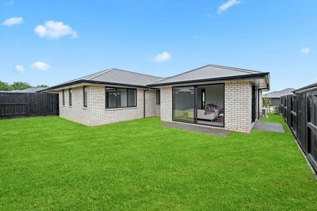 16 Harp Street Morrinsville_1