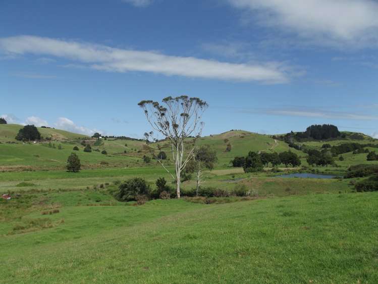 81 Ruapekapeka Road Towai_12