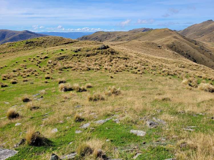 72 Wrights Road Waitaki_13