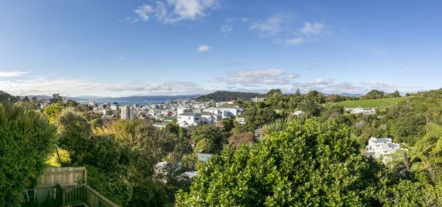 11 Durham Crescent Aro Valley_3