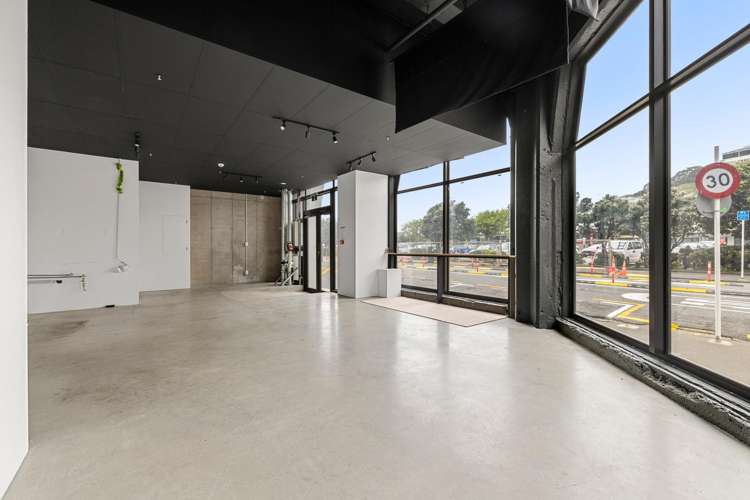 8 Chaffers Street Te Aro_13