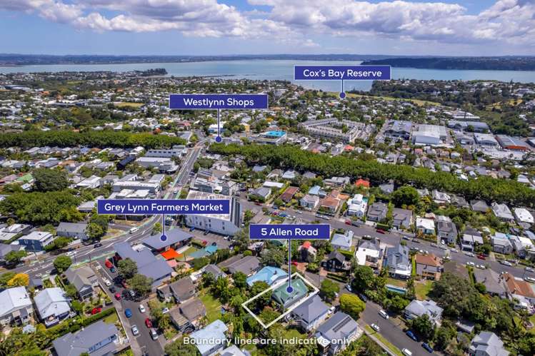 5 Allen Road Grey Lynn_23