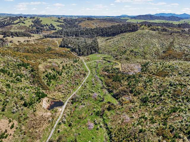 Arcadia Road Paparoa_1